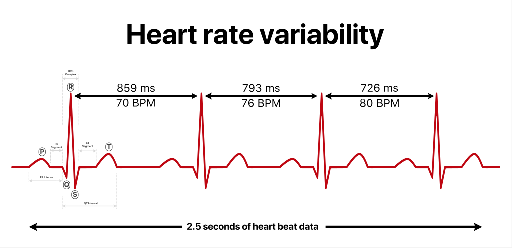 Al momento stai visualizzando Cos’è l’HRV e Perché è un dato così importante per gli atleti?